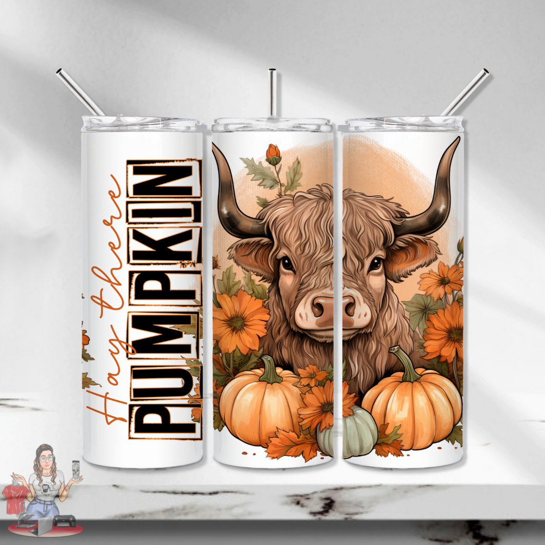 Hey there pumpkin 20oz Tumbler