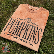 Load image into Gallery viewer, Farm Fresh Pumpkins Tee
